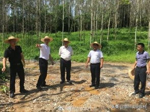 惠州市農(nóng)業(yè)農(nóng)村局副局長(zhǎng)李冠源到龍門縣現(xiàn)場(chǎng)督查中央環(huán)保督察整改任務(wù)落實(shí)情況