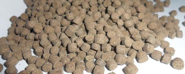 綠色食品動物養(yǎng)殖允許使用的動物源性飼料包括