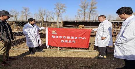 榆林市農(nóng)業(yè)農(nóng)村局_ 榆林市農(nóng)墾服務中心全力做好墾區(qū)養(yǎng)殖業(yè)服務工作