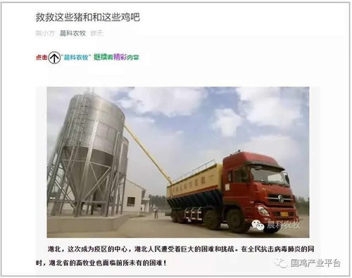 飼料告急！湖北龍頭養(yǎng)雞企業(yè)僅剩3天庫存，畜牧業(yè)協(xié)會(huì)緊急呼吁救急