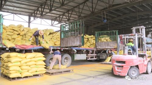 浠水海大飼料 以產(chǎn)品為舵，服務(wù)為帆，護(hù)航養(yǎng)殖業(yè)發(fā)展