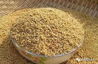 DIY自制釣鯽魚餌料配方 從入門到精通的飼料科學